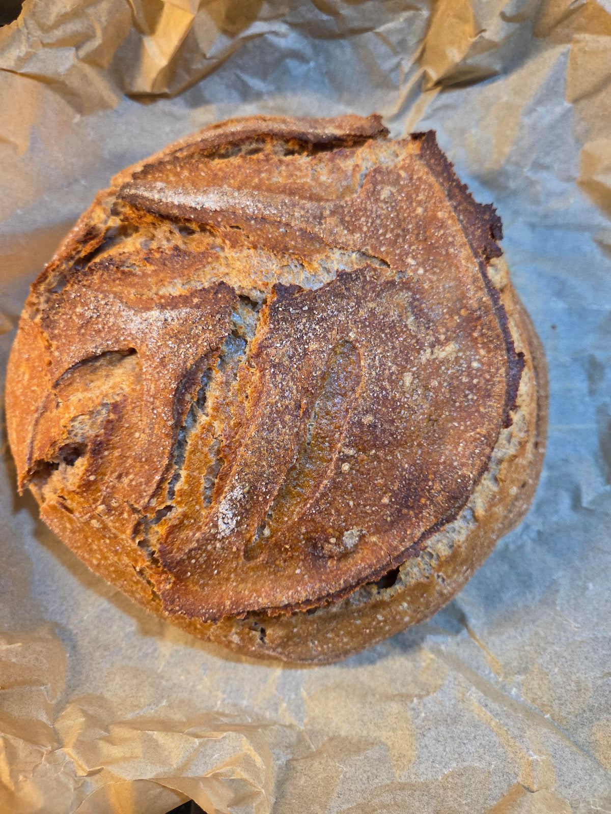 Sourdough Wheat Round Loaf Freshly Baked